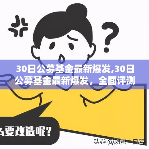 公募基金最新爆發(fā)，全面評測與介紹，洞悉市場動態(tài)！