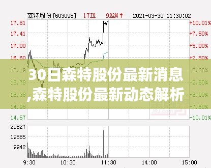 森特股份最新動態(tài)解析，深度洞察30日消息背后的真相