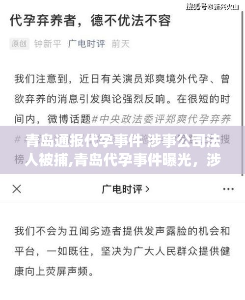 青島代孕事件曝光，涉事公司法人被捕，事件始末及影響深度解析