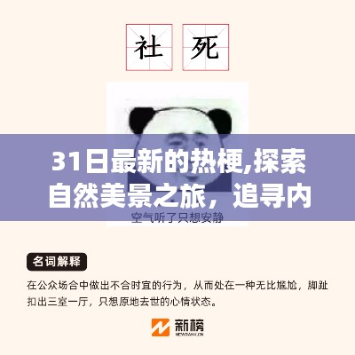 探索自然美景之旅，遇見最新熱梗，追尋內(nèi)心寧靜的新境界