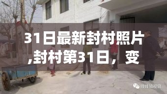 封村第31日，變化中的學(xué)習(xí)與自信成就感的綻放瞬間