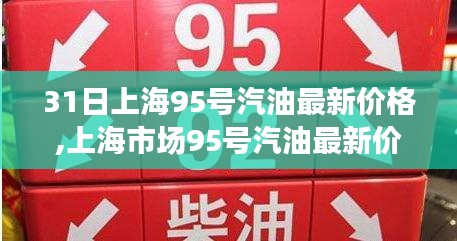 上海市場95號汽油最新價格動態(tài)及走勢分析，多方觀點碰撞與個人見解深度探討