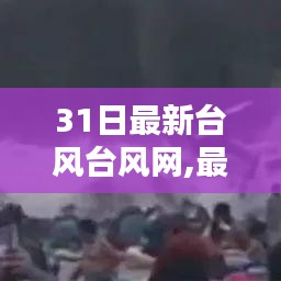 最新臺風動態(tài)報告，臺風網全面解析臺風動態(tài)及報告更新情況