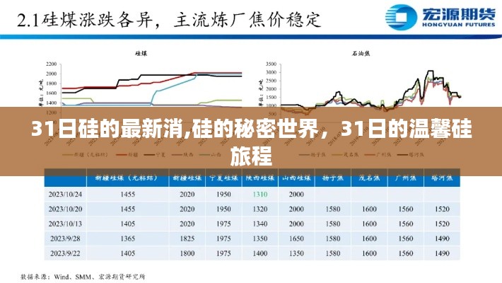 硅的秘密世界，探尋硅的秘密與溫馨旅程的啟示