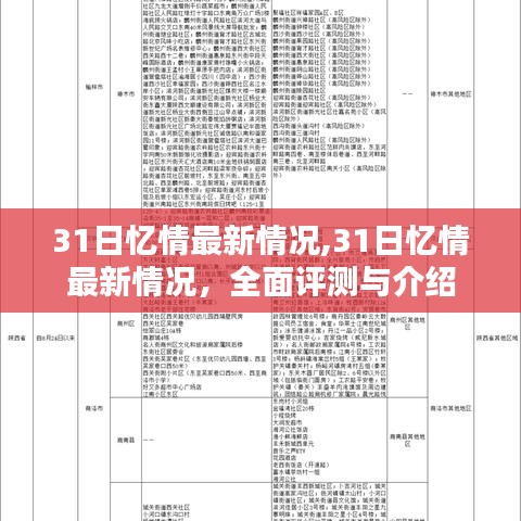 最新消息揭秘，關(guān)于31日憶情的全面評測與介紹