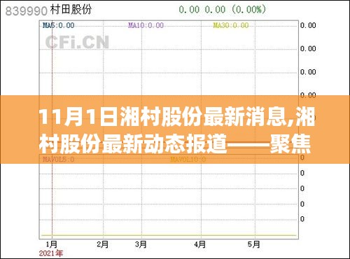 湘村股份最新動(dòng)態(tài)報(bào)道，聚焦要聞，洞悉最新動(dòng)態(tài)（11月1日更新）