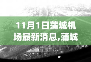 蒲城機場最新動態(tài)，11月1日的飛躍與影響分析