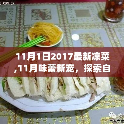 探索自然美景與美食之旅，最新涼菜喚醒味蕾與內(nèi)心平靜