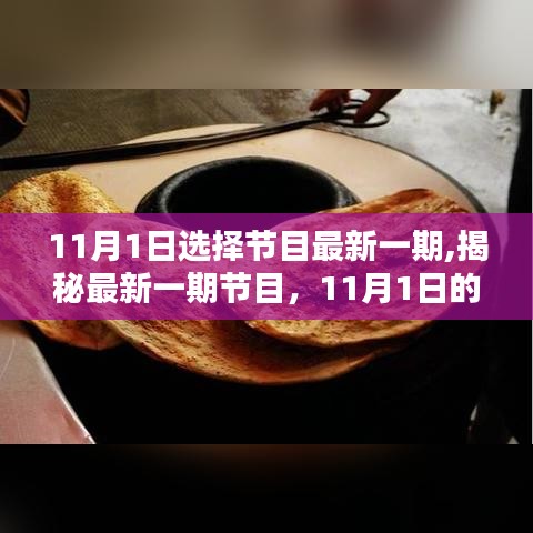 揭秘最新一期節(jié)目精彩瞬間，11月1日的精彩回顧