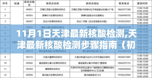 天津最新核酸檢測步驟指南，從初學(xué)者到進階用戶的全方位指南（11月1日更新）