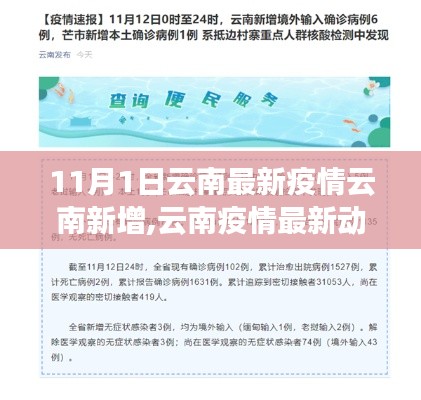 11月1日云南疫情最新動態(tài)，新增病例背后的故事