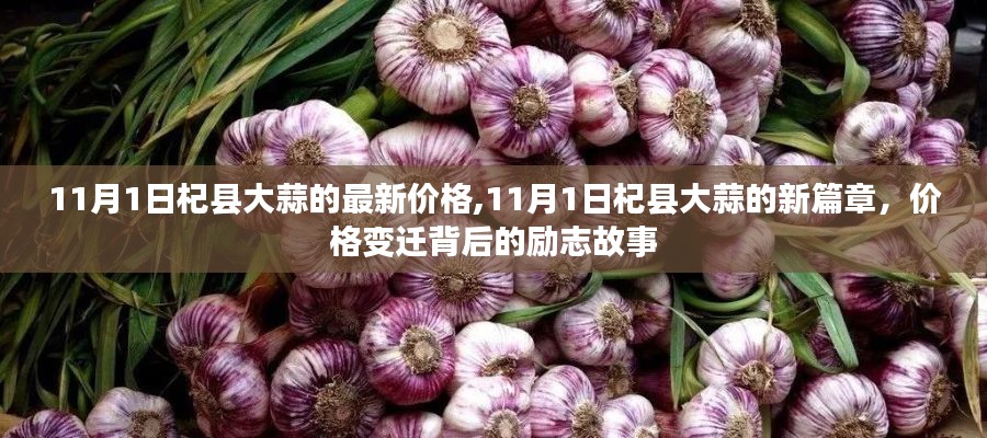 11月1日杞縣大蒜價格新篇章，勵志故事與價格變遷的背后揭秘