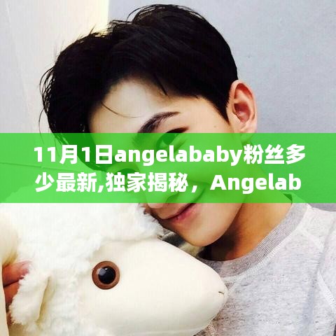 獨家揭秘，Angelababy 11月1日粉絲數(shù)量最新動態(tài)，粉絲數(shù)大揭秘！