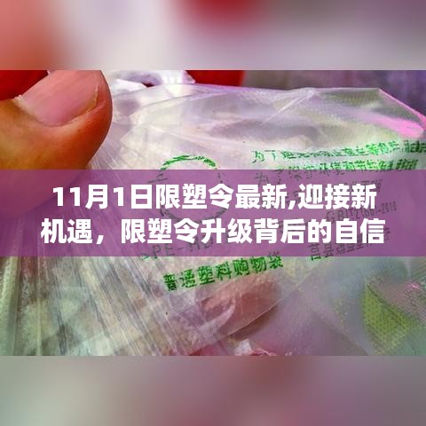 限塑令升級(jí)背后的自信與成就之旅，新機(jī)遇與挑戰(zhàn)的迎接