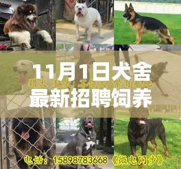 犬舍最新飼養(yǎng)員招聘啟事，飼養(yǎng)員崗位全面解讀與體驗評測