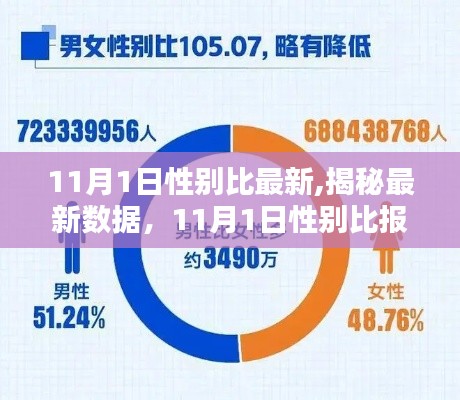 揭秘最新數(shù)據(jù)，深度解析11月1日性別比報(bào)告