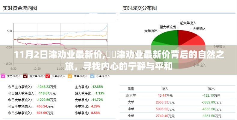 津勸業(yè)最新價背后的心靈之旅，探尋內(nèi)心寧靜與平和的奧秘