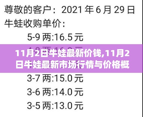 11月2日牛娃市場(chǎng)行情及最新價(jià)格概覽