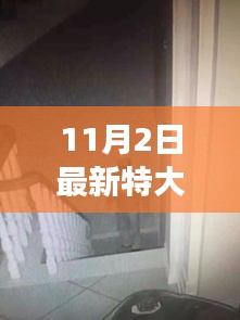 2024年11月 第1427頁(yè)