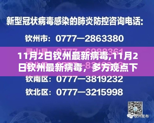 11月2日欽州最新病毒深度探討與解析，多方觀點下的疫情動態(tài)分析