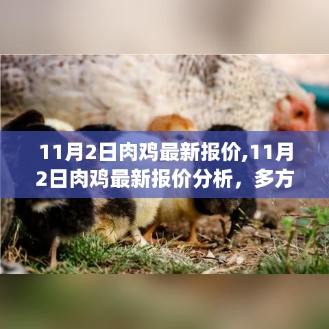 多方觀點交織的思考，11月2日肉雞最新報價及分析