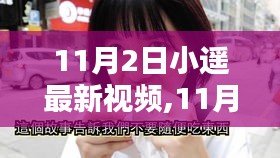 11月2日小遙最新視頻評測與詳解