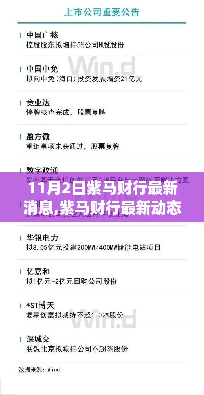 紫馬財行最新動態(tài)與行業(yè)震蕩展望，未來趨勢揭秘（11月最新消息）