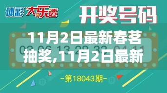 11月2日最新春茗抽獎活動深度解析，利弊與我的觀點