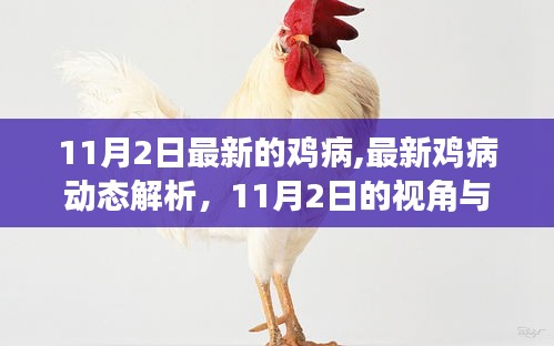 最新雞病動態(tài)解析，11月2日視角與某某觀點探討