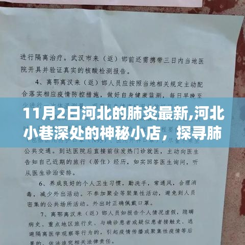 河北小巷深處的神秘小店，探尋疫情下的獨特氣息與美食故事（最新報道）