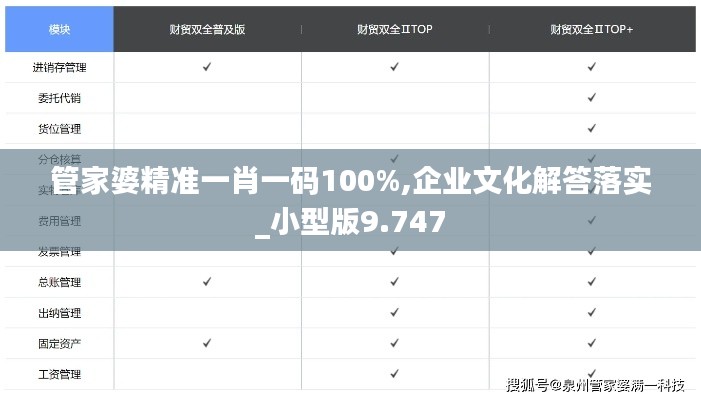 管家婆精準(zhǔn)一肖一碼100%,企業(yè)文化解答落實(shí)_小型版9.747