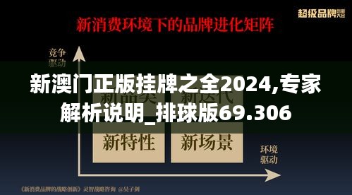 新澳門正版掛牌之全2024,專家解析說明_排球版69.306