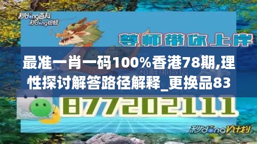 最準(zhǔn)一肖一碼100%香港78期,理性探討解答路徑解釋_更換品83.59