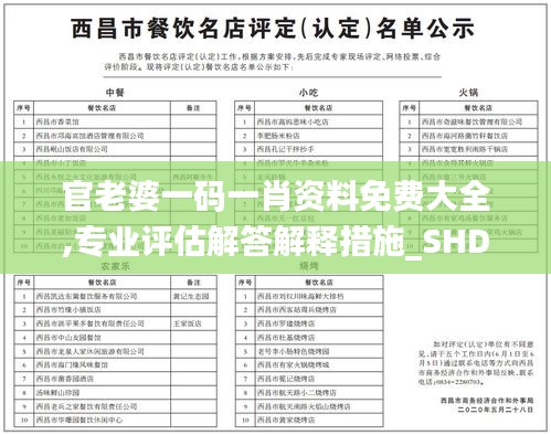 官老婆一碼一肖資料免費大全,專業(yè)評估解答解釋措施_SHD71.744