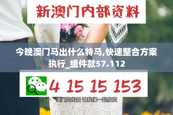 今晚澳門(mén)馬出什么特馬,快速整合方案執(zhí)行_組件款57.112