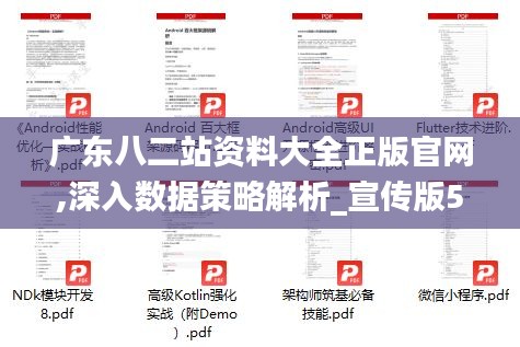 廣東八二站資料大全正版官網(wǎng),深入數(shù)據(jù)策略解析_宣傳版55.959