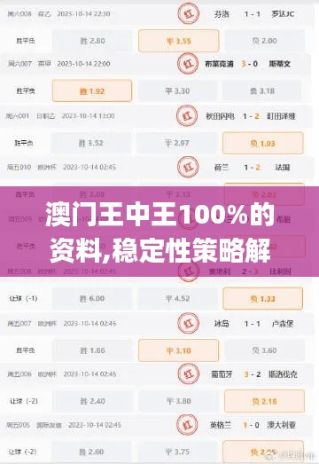 澳門王中王100%的資料,穩(wěn)定性策略解析_試點款64.48