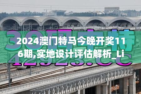 2024澳門特馬今晚開獎116期,實地設(shè)計評估解析_Lite72.696