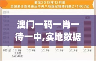 澳門一碼一肖一待一中,實地數(shù)據(jù)解釋定義_收藏集46.322