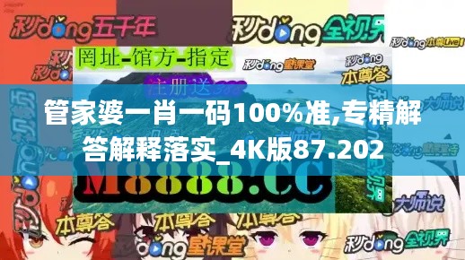 管家婆一肖一碼100%準,專精解答解釋落實_4K版87.202