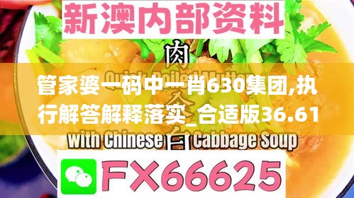 管家婆一碼中一肖630集團,執(zhí)行解答解釋落實_合適版36.612