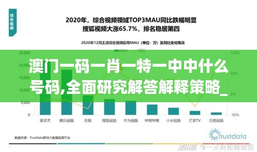 澳門一碼一肖一特一中中什么號碼,全面研究解答解釋策略_組合版75.53