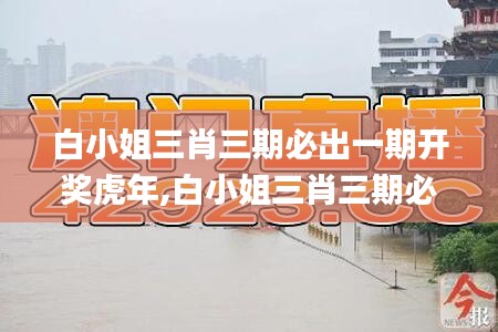 白小姐三肖三期必出一期開獎虎年,白小姐三肖三期必出一期,及時解答解釋方案_控制版14.399