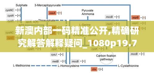 新澳內部一碼精準公開,精確研究解答解釋疑問_1080p19.78