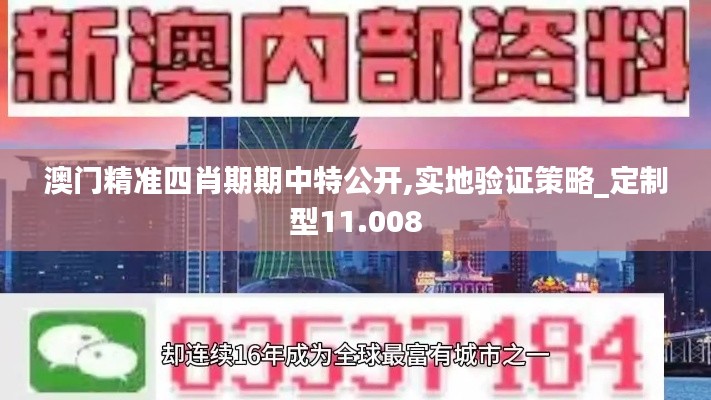 澳門精準(zhǔn)四肖期期中特公開,實(shí)地驗(yàn)證策略_定制型11.008