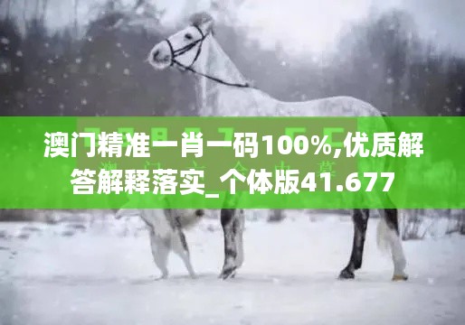 澳門精準(zhǔn)一肖一碼100%,優(yōu)質(zhì)解答解釋落實(shí)_個(gè)體版41.677