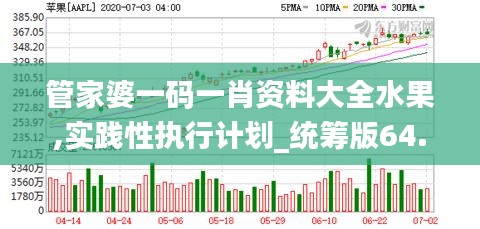 管家婆一碼一肖資料大全水果,實踐性執(zhí)行計劃_統(tǒng)籌版64.596