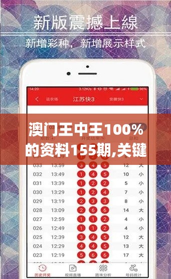 澳門王中王100%的資料155期,關(guān)鍵方法解析_模擬型66.008