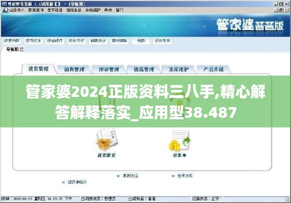 管家婆2024正版資料三八手,精心解答解釋落實_應用型38.487