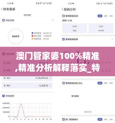 澳門管家婆100%精準,精準分析解釋落實_特定款45.648